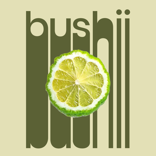 Bar Soap - Bergamot Drift