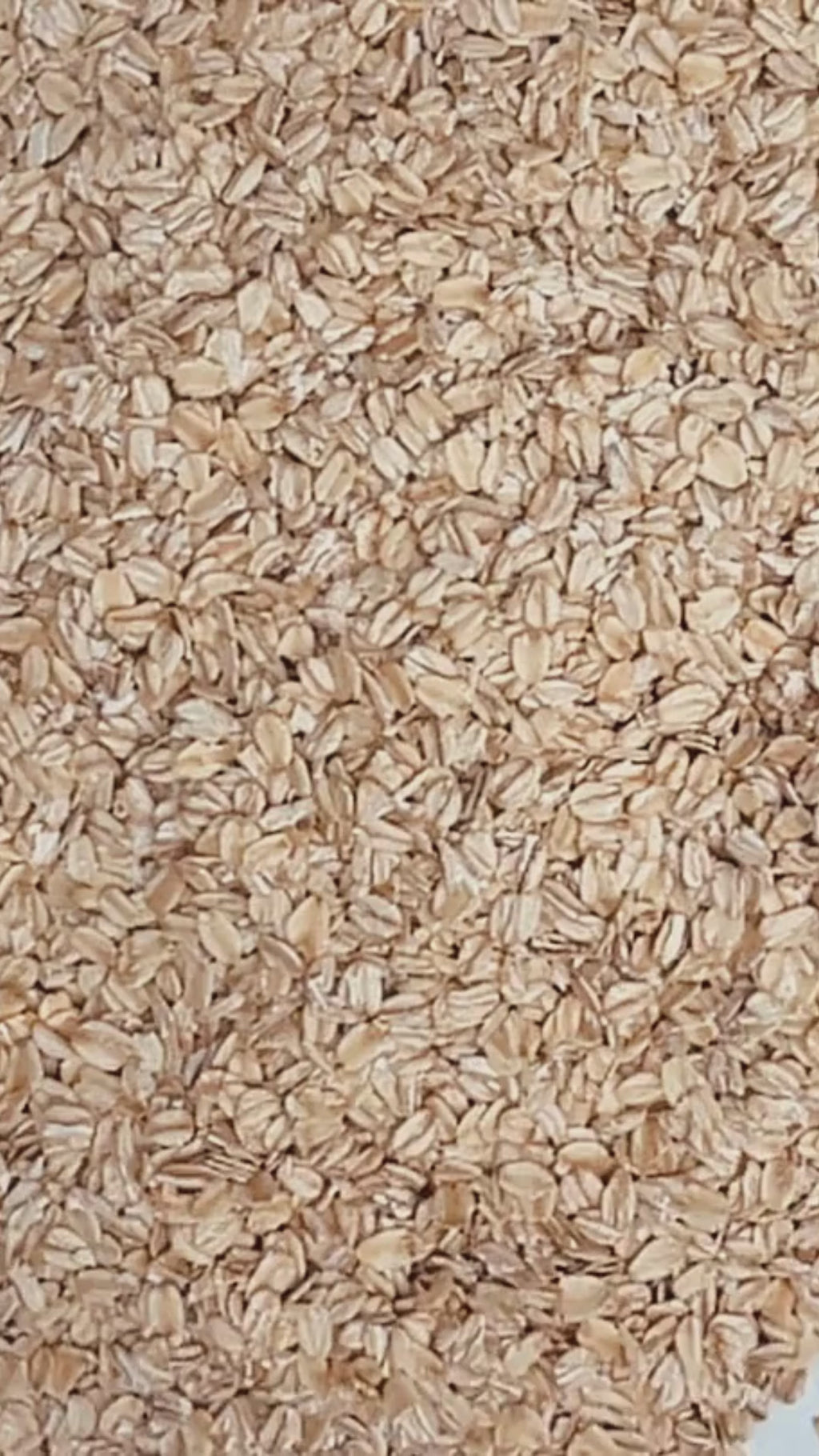 Bar Soap - Oatmeal Scrub - Unscented