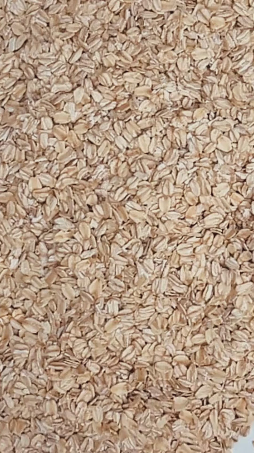 Bar Soap - Oatmeal Scrub - Unscented